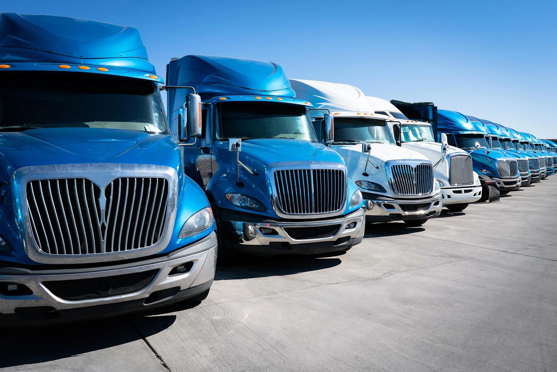 A fleet of trucks lined up for transporting goods